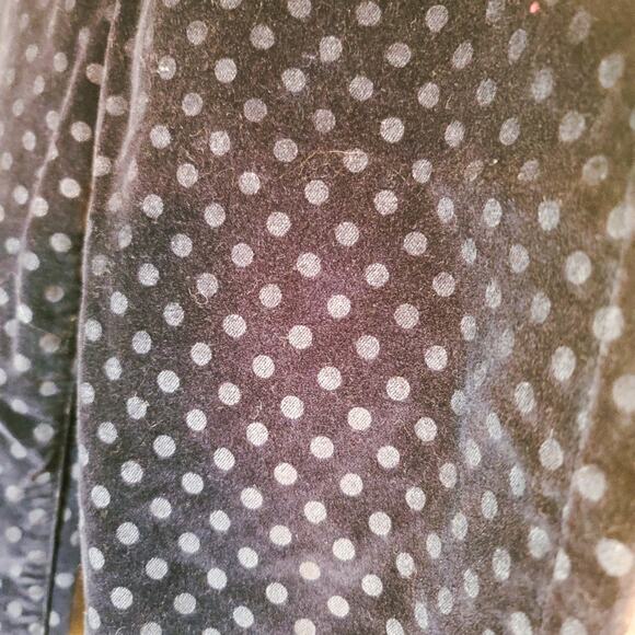 J Crew navy Toothpick swiss dot velvet skinny ankle 5 pocket pants size 26 - Picture 5 of 12